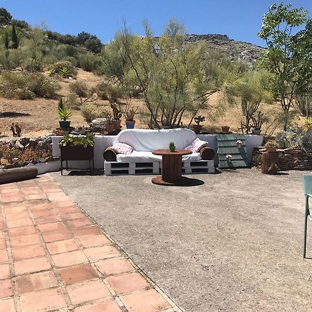 Cortijo Nuevo Alojamiento Rural Cuevas del Becerro Exterior photo