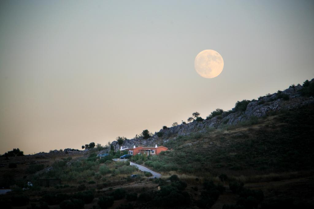 Cortijo Nuevo Alojamiento Rural Cuevas del Becerro Exterior photo